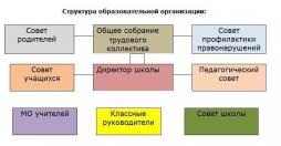 Структура образовательной организации